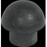 Talon champignon