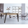 Billard table convertible Eurobillards Pure