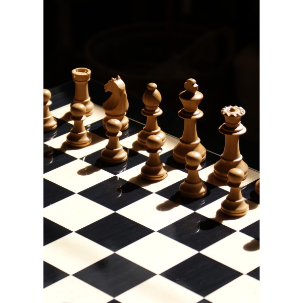 Pièces d'échecs Staunton Mat n°5