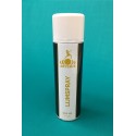 Colle  en Spray 500 ml