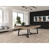Billard table convertible Eurobillards Altea